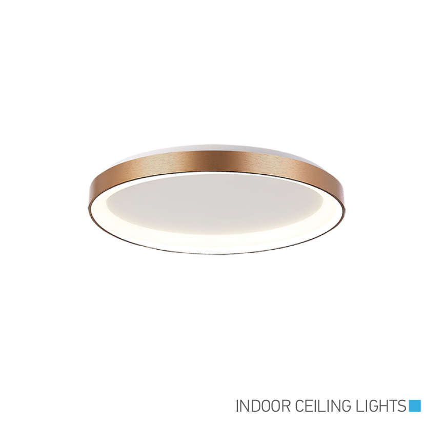 Indoor Ceiling Lights