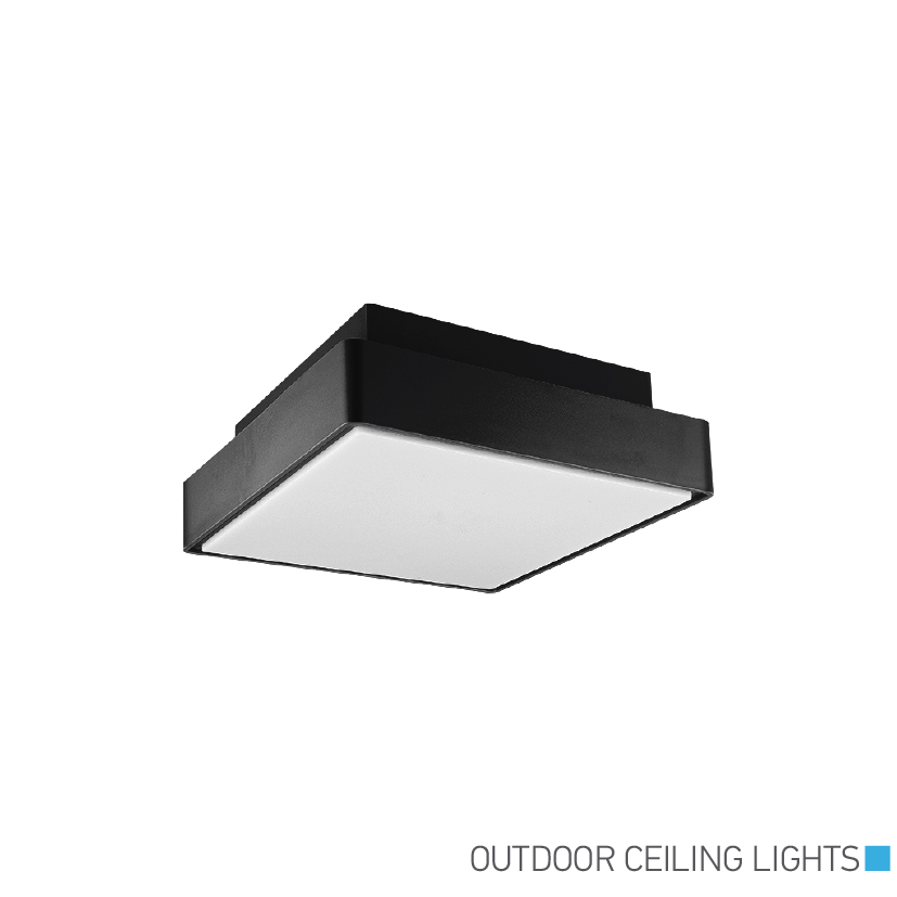 Outdoor Ceiling Lights